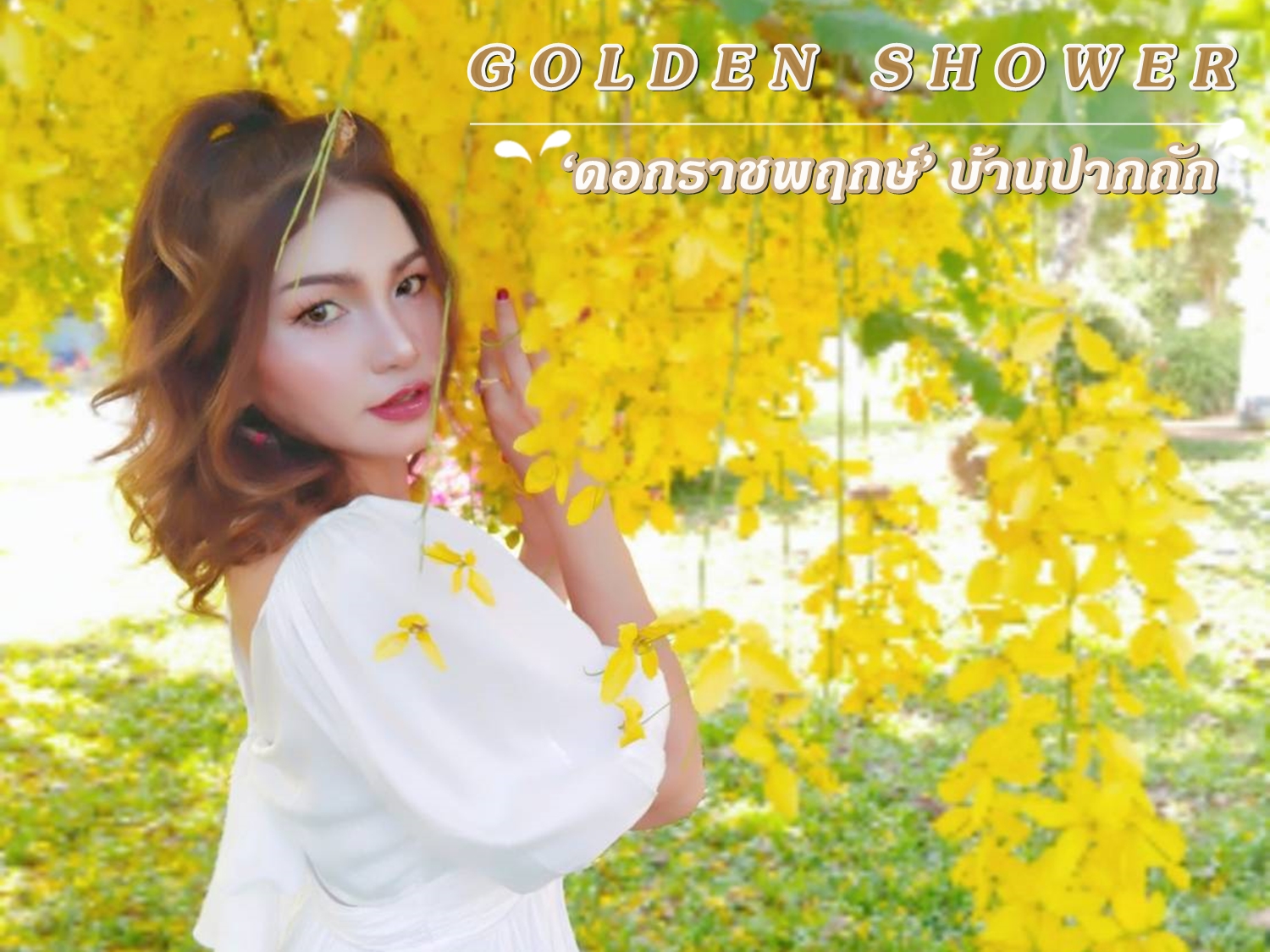 "จุดเช็คอิน ดอกราชพฤกษ์ (Golden shower) บ้านปากถัก”